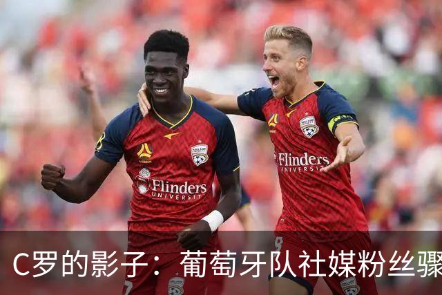C罗的影子：葡萄牙队社媒粉丝骤降的背后真相
